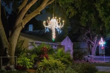 Christmas Lights in Dunedin