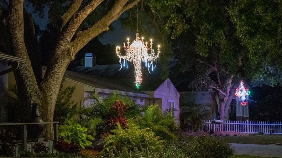 Christmas Lights in Dunedin