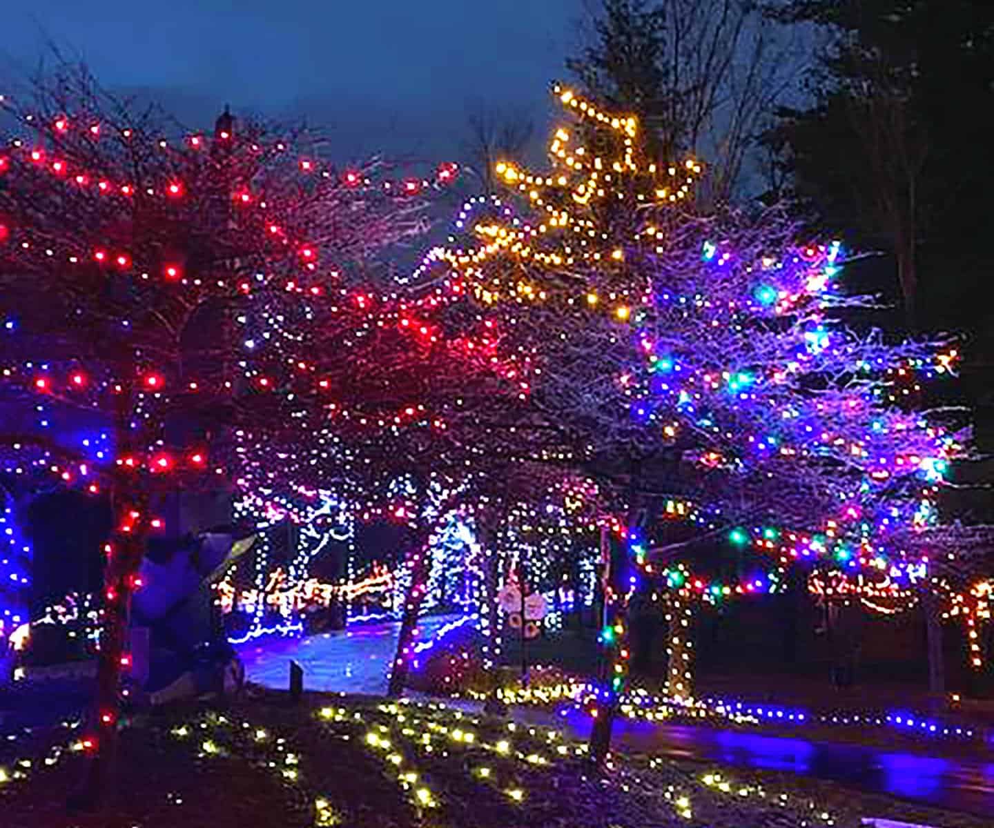 Discover Sparkling Christmas Lights in Hamilton