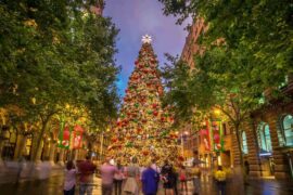 Christmas Lights in Sydney