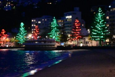 Christmas Lights in Wellington