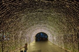 Christmas Lights in Western Sydney