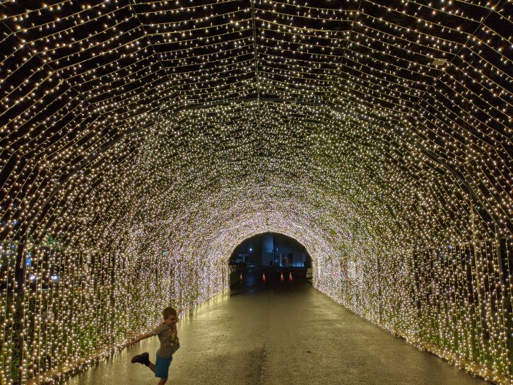 Christmas Lights in Western Sydney