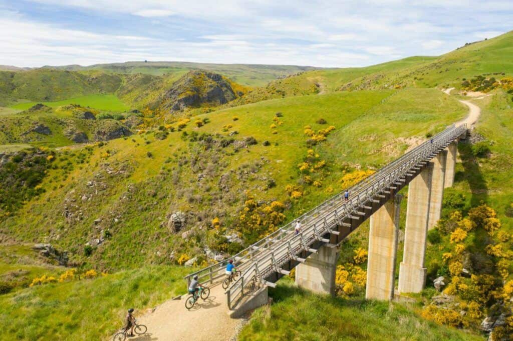 Day trips in Dunedin