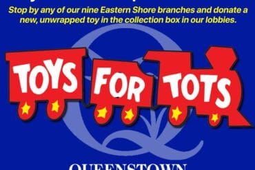 Donate Toys in Queenstown