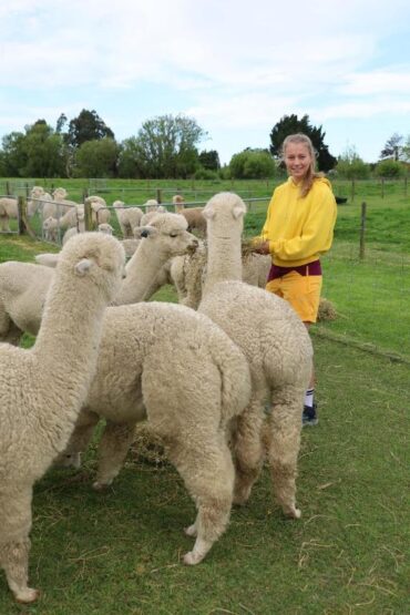 Family Farm Stays in Christchurch