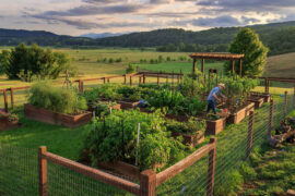 Family Farm Stays in North Shore Sydney