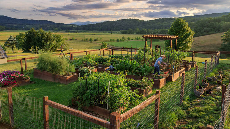 Family Farm Stays in North Shore Sydney