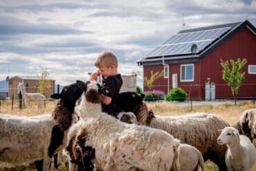 Family Farm Stays in Queenstown