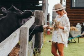 Family Farm Stays in Sydney