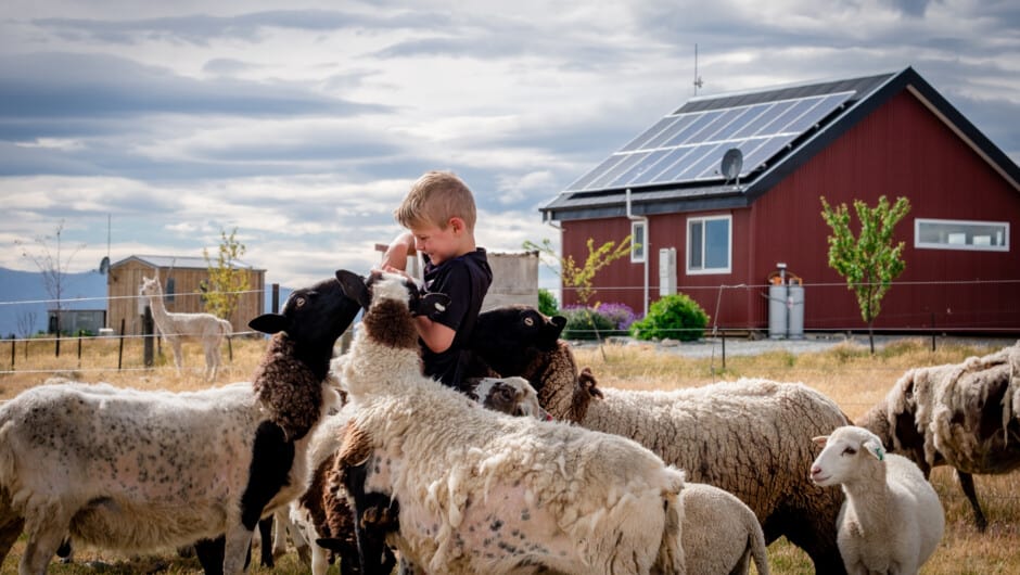 Family Farm Stays in Wellington