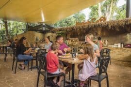 Family Friendly Cafes in Hamilton