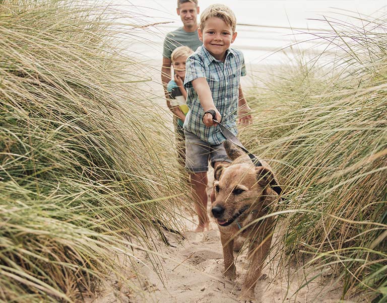 Family Walks With Kids in North Shore Sydney