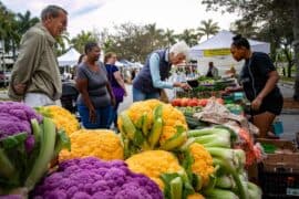 Farmers Markets in Wellington