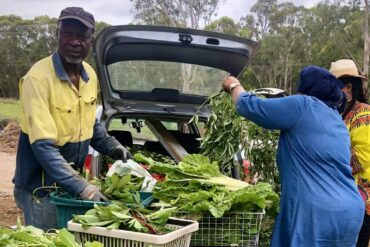 Farmers Markets in Western Sydney