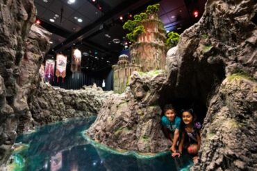 Free Attractions for Little Kids in Auckland