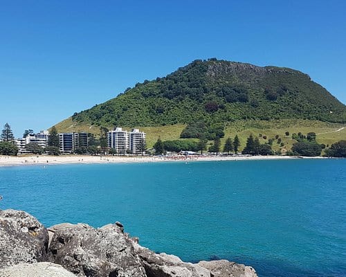 Free Attractions for Toddlers in Tauranga