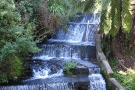 Free Attractions in Lower Hutt