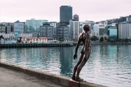 Free Attractions in Wellington