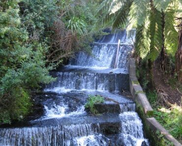 Free Things to do with Kids in Lower Hutt