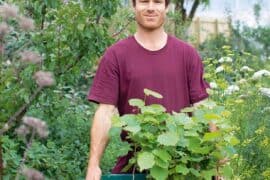 Fruit Picking for Kids in Dunedin