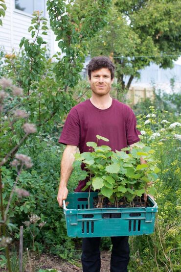 Fruit Picking for Kids in Dunedin