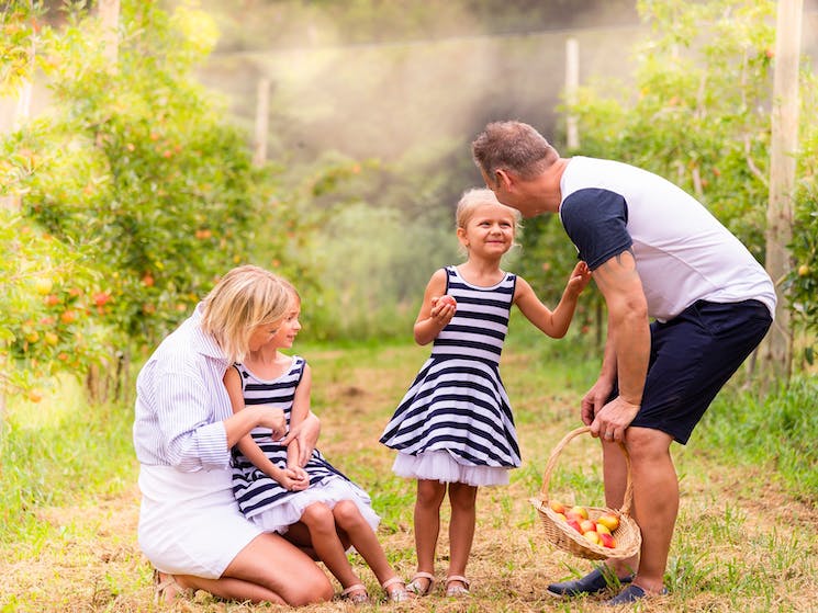 Fruit Picking for Kids in Western Sydney