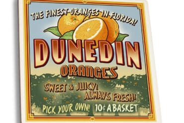 Fruit Picking in Dunedin