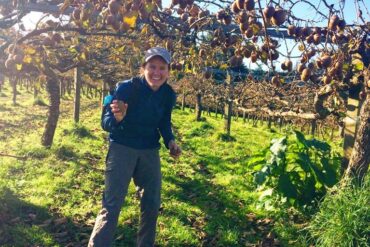 Fruit Picking in Tauranga