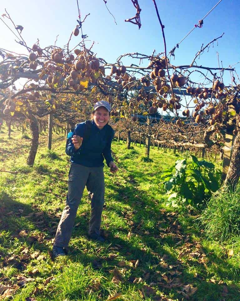 Fruit Picking in Tauranga