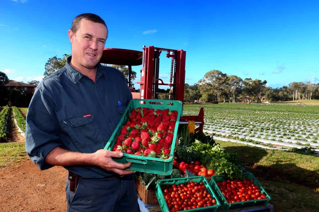 Fruit Picking in Wellington