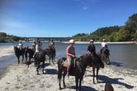 Horse Riding in Christchurch