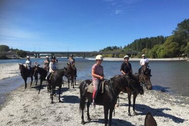 Horse Riding in Christchurch