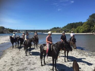 Horse Riding in Christchurch