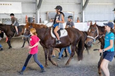 Horse Riding in Hamilton