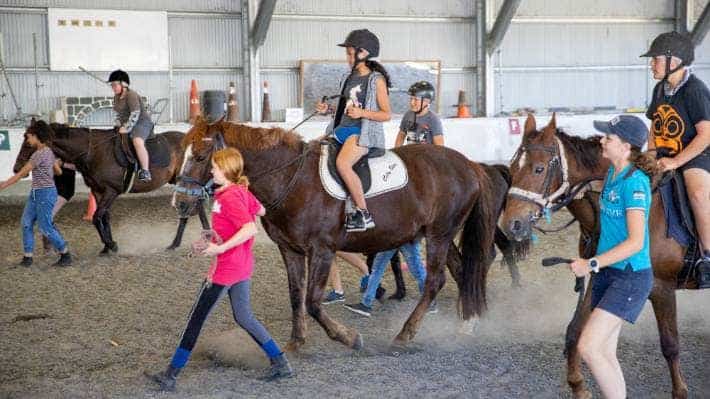 Horse Riding in Hamilton