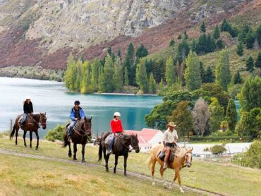 Horse Riding in Queenstown