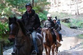 Horse Riding in Wellington