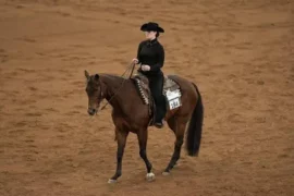 Horse Riding in Western Sydney