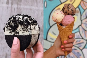 Ice Cream Places in Auckland