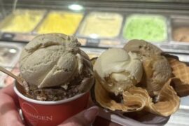 Ice Cream Places in Western Sydney