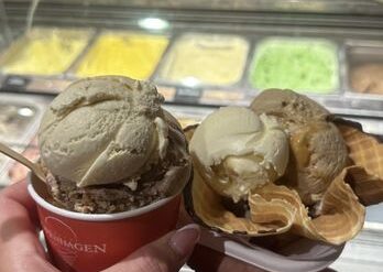 Ice Cream Places in Western Sydney