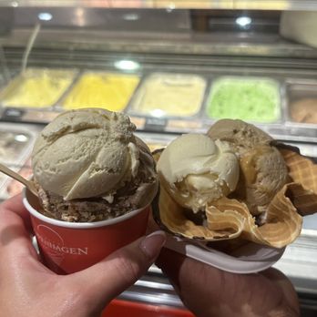 Ice Cream Places in Western Sydney