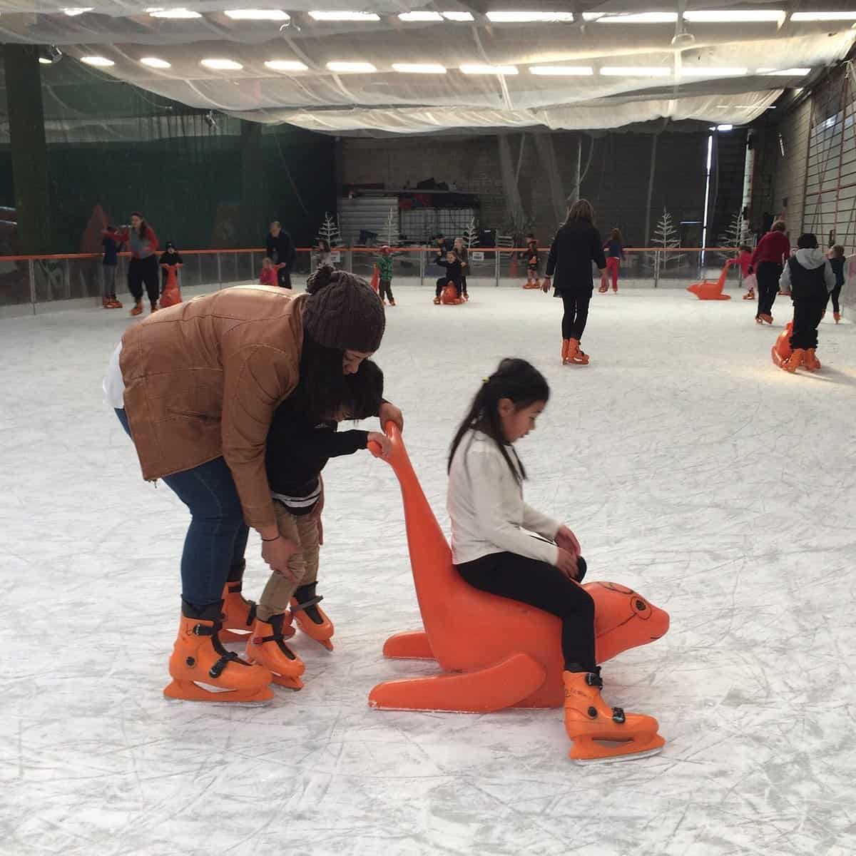 Experience The Arctic Thrill: Ice Skating At Edmonton's Winter Wonderland