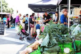 Markets in Auckland