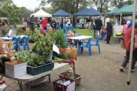 Markets in Hamilton