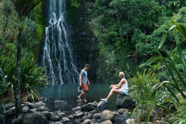 National Parks in Auckland