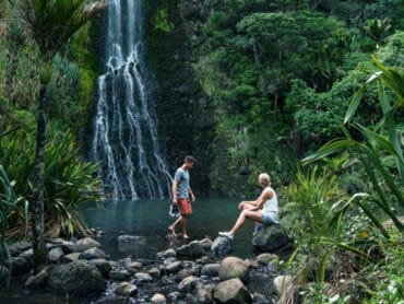 National Parks in Auckland