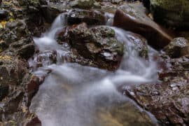 National Parks in Lower Hutt