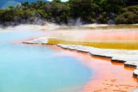 National Parks in Tauranga